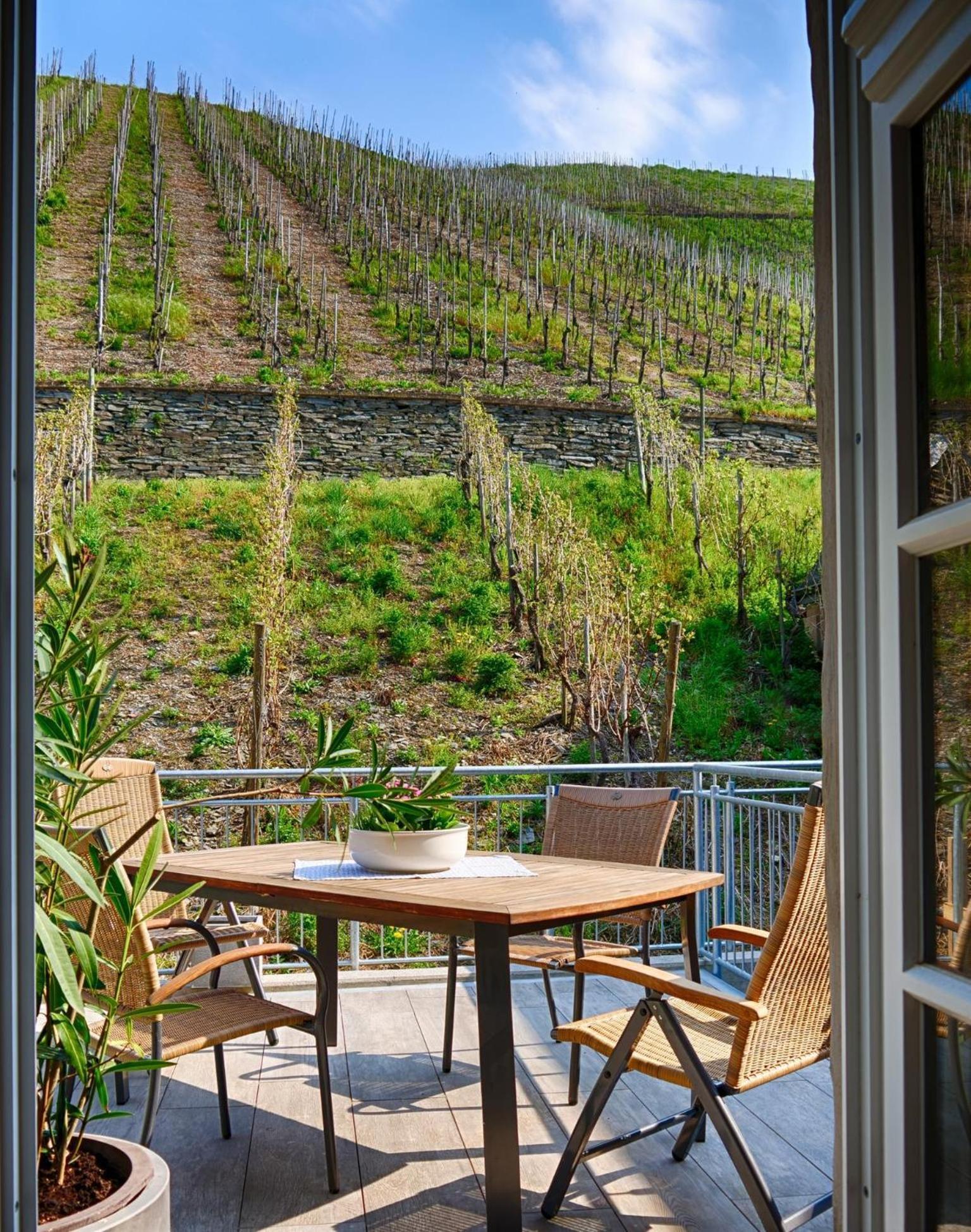 Altes Loerscher Winzerhaus Mehring  Exteriör bild