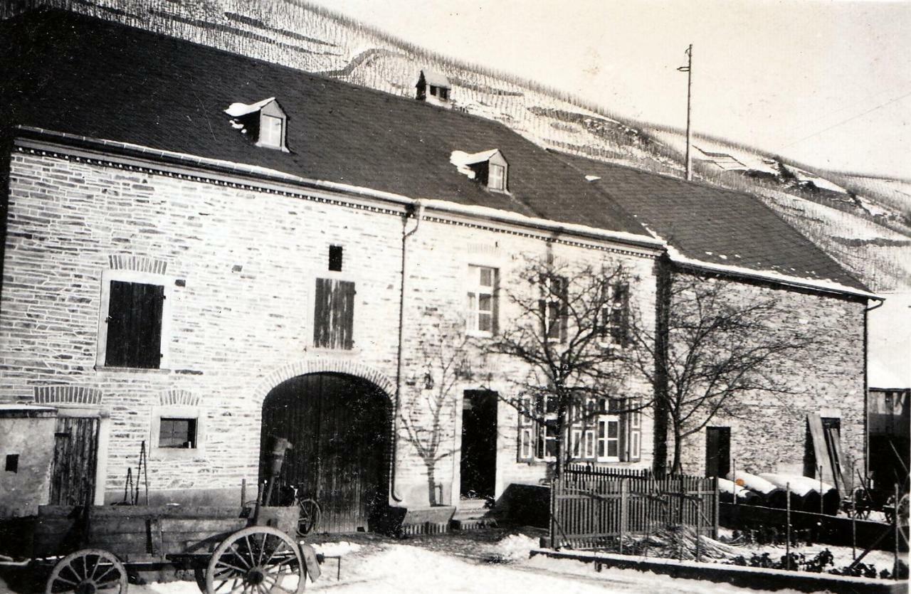 Altes Loerscher Winzerhaus Mehring  Exteriör bild